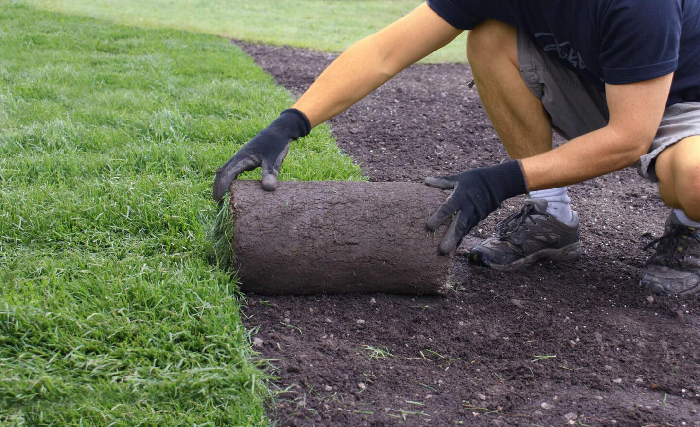 sod installation
