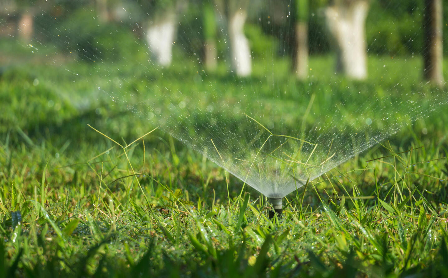 lawn sprinklers