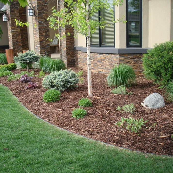 pine mulch installation